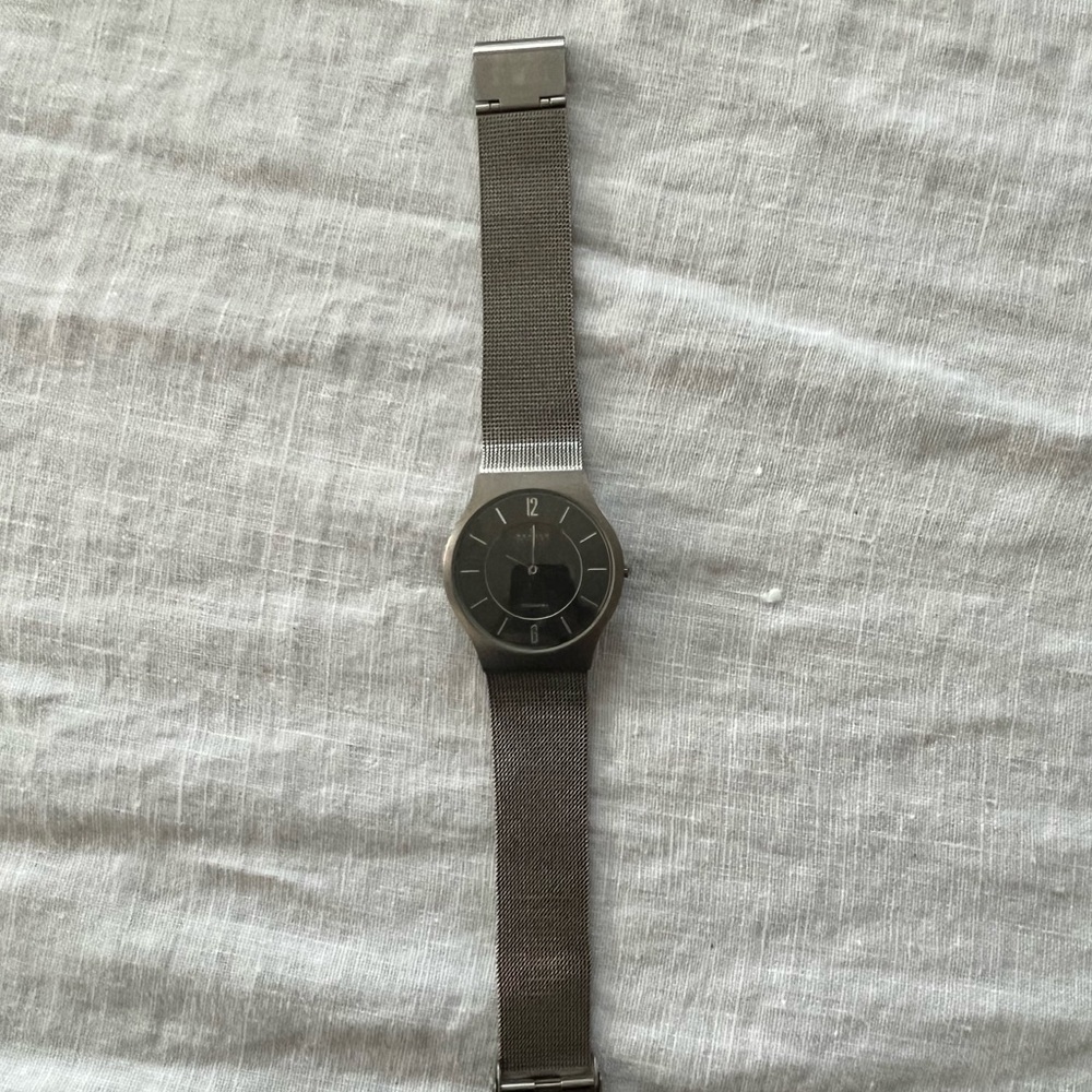 Skagen Mesh 2 Hand Watch